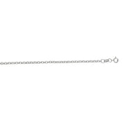 14K White Gold 1.9mm Lite Rolo Chain Necklace