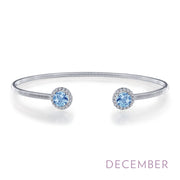 Sterling Silver December Birthstone Bracelet